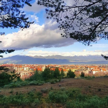 Cozy Apartment Next To The Forest And The Gondola Bansko Exteriér fotografie